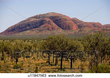 travel, australia, outback View Large Photo Image Stock Image - travel, australia, outback. Fotosearch