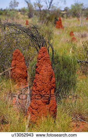travel, australia, outback View Large Photo Image Stock Image - travel, australia, outback. Fotosearch