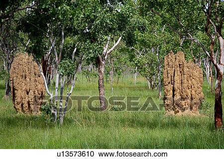 travel, australia, outback View Large Photo Image Stock Image - travel, australia, outback. Fotosearch