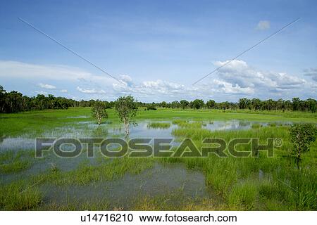 travel, australia, outback View Large Photo Image Stock Image - travel, australia, outback. Fotosearch