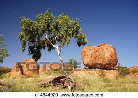 Stock Image - travel, australia, outback. Fotosearch