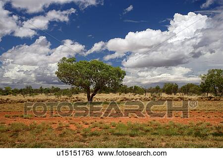 travel, australia, outback View Large Photo Image Stock Image - travel, australia, outback. Fotosearch