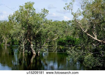 Stock Image - travel, australia, outback. Fotosearch