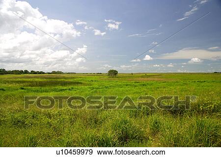 Stock Photo - travel, australia, outback. Fotosearch