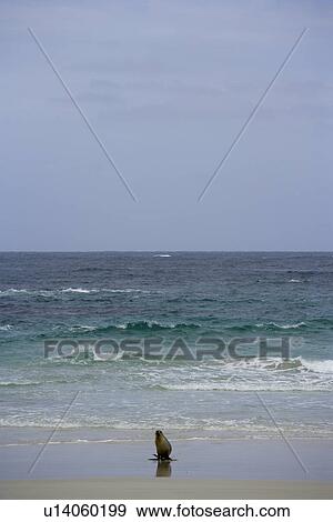 Stock Photo - travel, australia, outback. Fotosearch