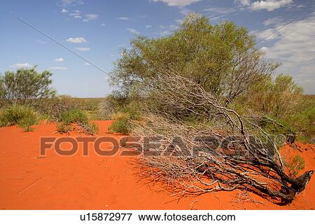 Stock Photo - travel, australia, outback. Fotosearch