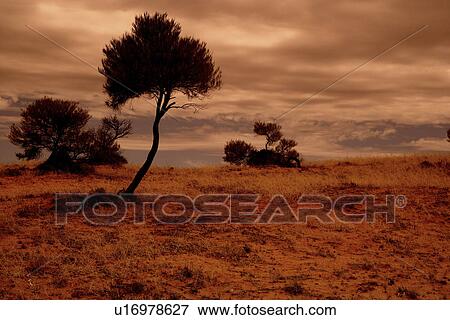 travel, australia, outback View Large Photo Image Stock Photo - travel, australia, outback. Fotosearch