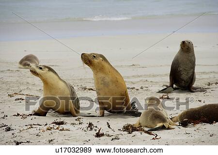 Stock Photo - travel, australia, outback. Fotosearch