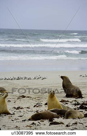 Stock Photography - travel, australia, outback. Fotosearch