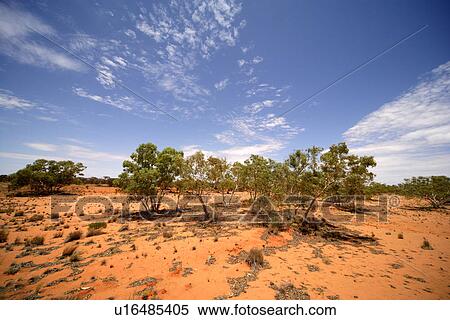 travel, australia, outback View Large Photo Image Stock Photography - travel, australia, outback. Fotosearch