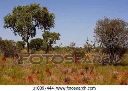 travel, australia, outback View Large Photo Image Picture - travel, australia, outback. Fotosearch