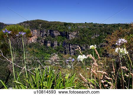 travel, australia, outback View Large Photo Image Stock Image - travel, australia, outback. Fotosearch