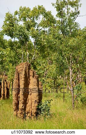 Stock Image - travel, australia, outback. Fotosearch