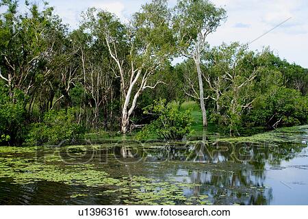 travel, australia, outback View Large Photo Image Stock Image - travel, australia, outback. Fotosearch