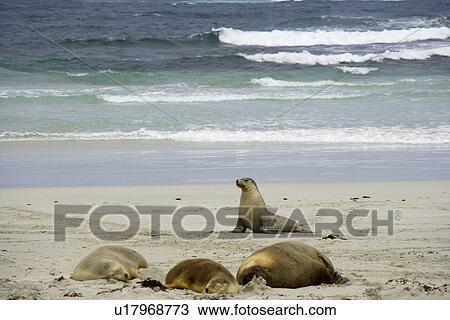Stock Image - travel, australia, outback. Fotosearch