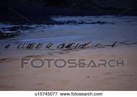 travel, australia, outback View Large Photo Image Stock Photo - travel, australia, outback. Fotosearch