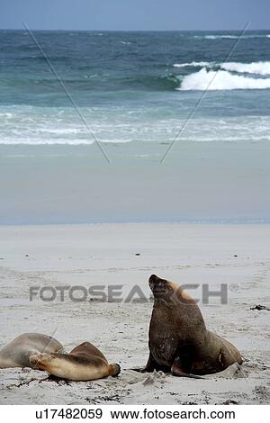 Stock Photo - travel, australia, outback. Fotosearch