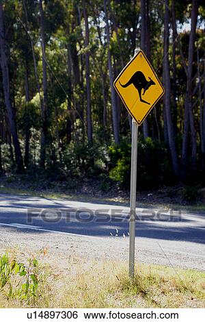 travel, australia, outback View Large Photo Image Stock Photograph - travel, australia, outback. Fotosearch
