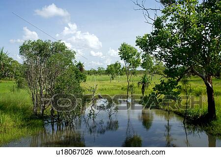 Stock Photograph - travel, australia, outback. Fotosearch