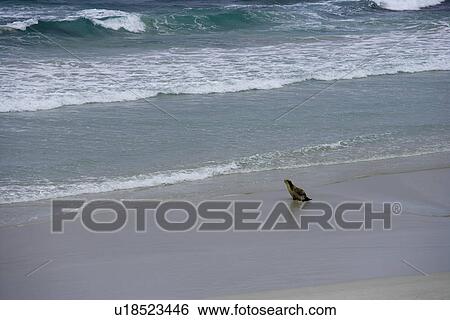 travel, australia, outback View Large Photo Image Stock Photograph - travel, australia, outback. Fotosearch