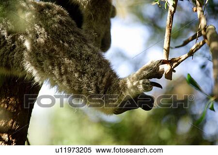 Stock Photography - travel, australia, outback. Fotosearch