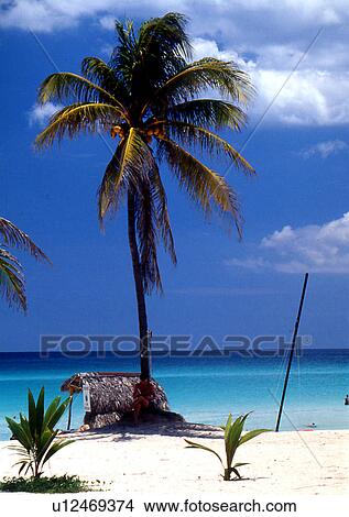 Picture - travel, cuba, dominican republic. Fotosearch