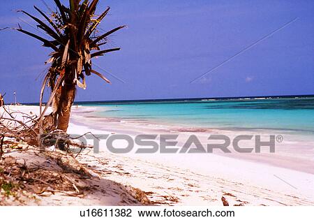 Stock Image - travel, cuba, dominican republic. Fotosearch