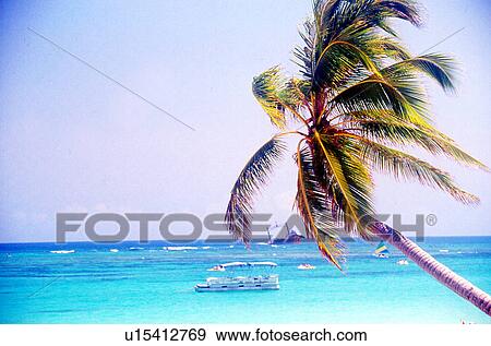 travel, cuba, dominican republic View Large Photo Image Stock Photo - travel, cuba, dominican republic. Fotosearch