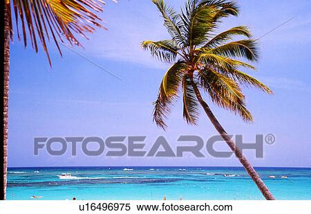 travel, cuba, dominican republic View Large Photo Image Stock Photography - travel, cuba, dominican republic. Fotosearch