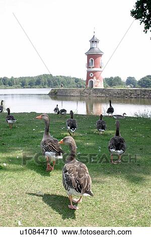 Stock Image - travel, germany, dresden. Fotosearch