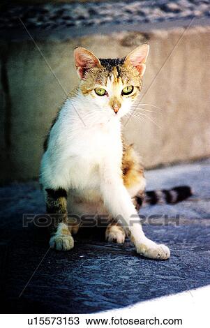 Stock Image - travel, greece, island. Fotosearch