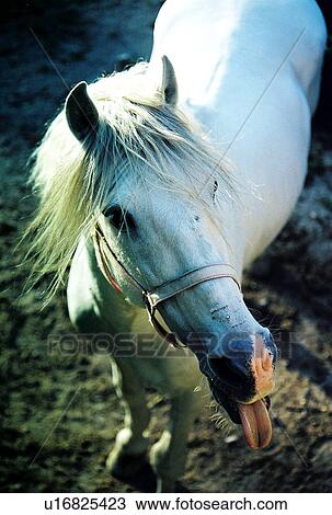 Stock Image - travel, greece, island. Fotosearch