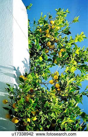travel, greece, island View Large Photo Image Stock Image - travel, greece, island. Fotosearch