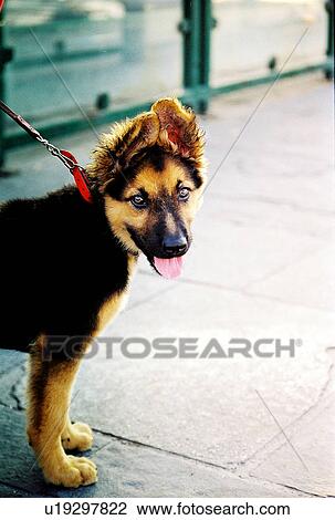 Stock Image - travel, greece, island. Fotosearch