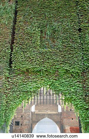 travel, italy, milan View Large Photo Image Stock Photo - travel, italy, milan. Fotosearch