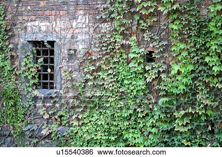 travel, italy, milan View Large Photo Image Stock Photograph - travel, italy, milan. Fotosearch
