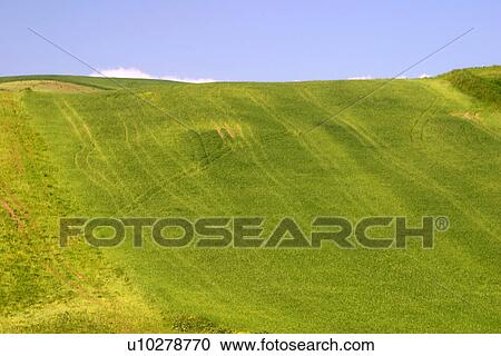 Stock Image - travel, italy, rural, sicily. Fotosearch