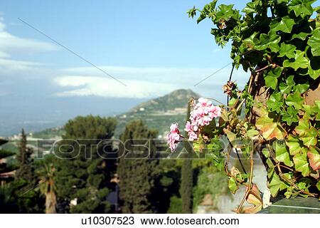 travel, italy, rural, sicily View Large Photo Image Stock Image - travel, italy, rural, sicily. Fotosearch