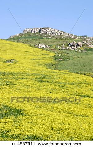 Stock Image - travel, italy, rural, sicily. Fotosearch