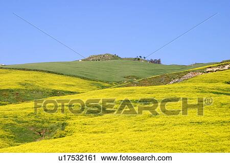 Stock Image - travel, italy, rural, sicily. Fotosearch