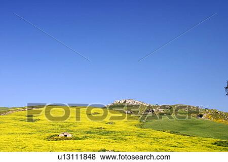 travel, italy, rural, sicily View Large Photo Image Stock Photo - travel, italy, rural, sicily. Fotosearch