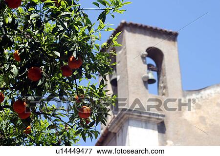 travel, italy, rural, sicily View Large Photo Image Stock Photo - travel, italy, rural, sicily. Fotosearch