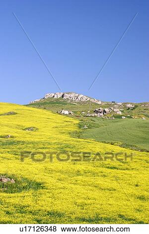 Stock Photo - travel, italy, rural, sicily. Fotosearch