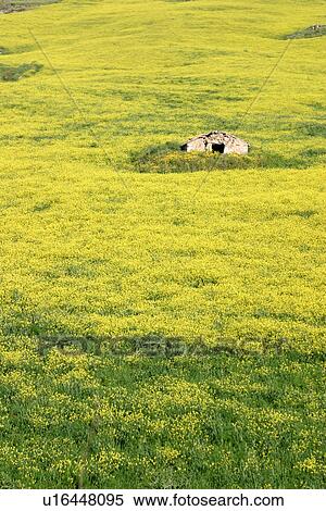 Stock Photography - travel, italy, rural, sicily. Fotosearch