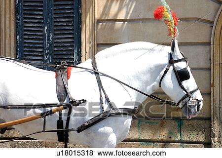 Stock Photo - travel, italy, sicily. Fotosearch