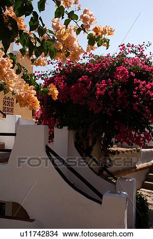 Picture - travel, spain, mallorca city. Fotosearch