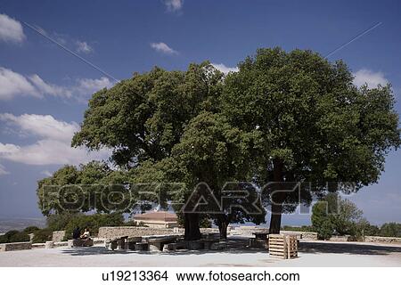 Picture - travel, spain, mallorca city. Fotosearch