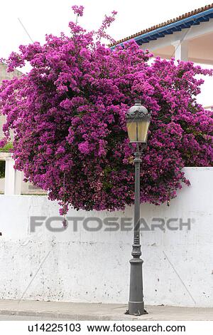 travel, spain, mallorca city View Large Photo Image Stock Image - travel, spain, mallorca city. Fotosearch