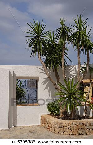 Stock Photograph - travel, spain, mallorca city. Fotosearch