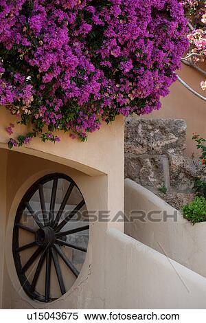 travel, spain, mallorca city View Large Photo Image Stock Photography - travel, spain, mallorca city. Fotosearch